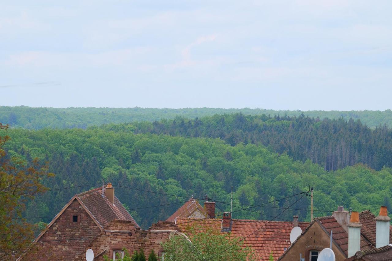 Apartmán Le Pommier - Appt Avec Jardin Partage Puberg Exteriér fotografie